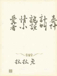 爱情诡计泰剧原著小说叫什么