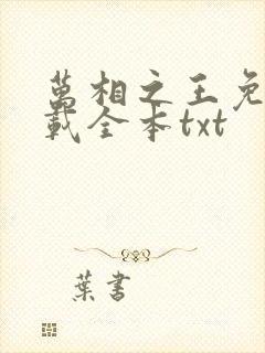 万相之王免费下载全本txt