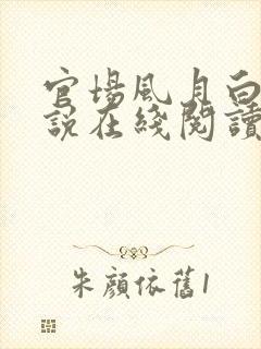 官场风月白芸小说在线阅读