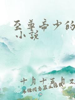 至尊帝少的盛宠 小说