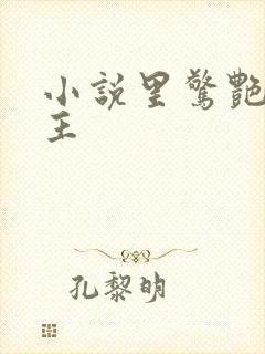 小说里惊艳的女主