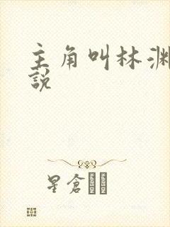 主角叫林渊的小说