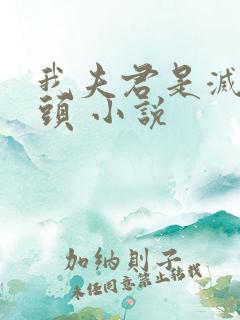 我夫君是灭世魔头 小说