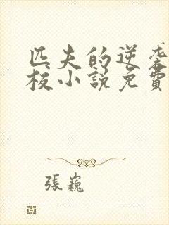 匹夫的逆袭骁骑校小说免费阅读全文无删减