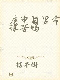 庚申日男命妻子很苦吗