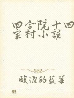 四合院十四岁秦家村小说