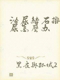 泌尿结石排不出尿怎么办