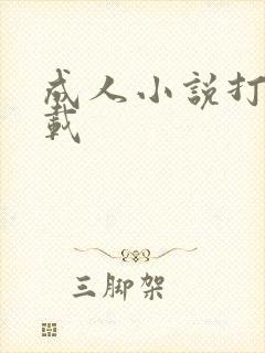 成人小说打包下载