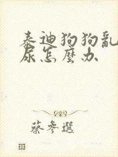 泰迪狗狗乱拉乱尿怎么办