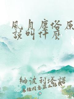 风月尘俗原著小说叫什么