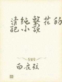 清纯系花的瘾日记小说