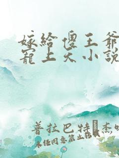 嫁给傻王爷后被宠上天小说