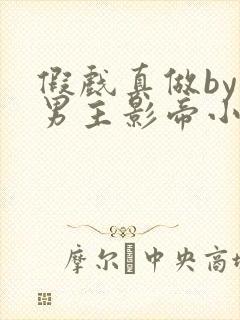 假戏真做by双男主影帝小说