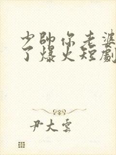 少帅你老婆又跑了爆火短剧