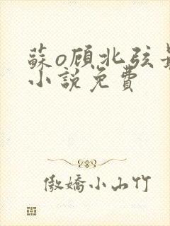 苏o顾北弦最新小说免费