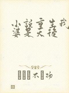 小说重生我的老婆是天后