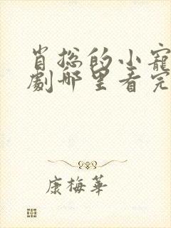 肖总的小宠妻短剧哪里看完整版