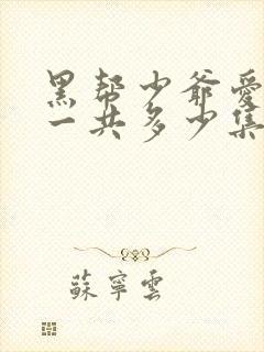 黑帮少爷爱上我一共多少集