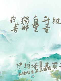 我独自升级动漫去哪里看