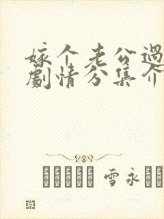 嫁个老公过日子剧情分集介绍