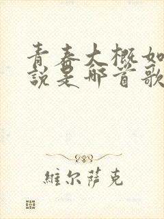 青春大概如你所说是哪首歌的歌词