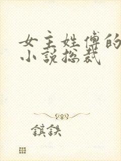 女主姓傅的现代小说总裁