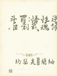 斗罗:悟性逆天,自创武魂修炼小说