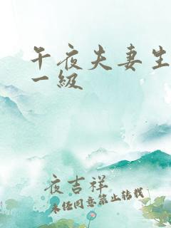 午夜夫妻生活片一级