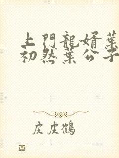 上门龙婿叶辰萧初然叶公子