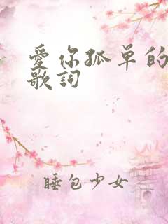 爱你孤单的心事歌词