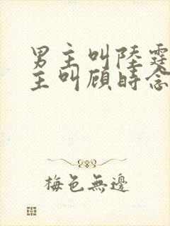 男主叫陆霆骁女主叫顾时念的小说