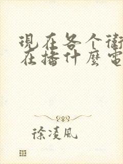 现在各个卫视都在播什么电视剧