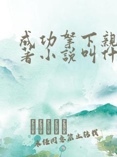 成功拿下亲妈原著小说叫什么名字