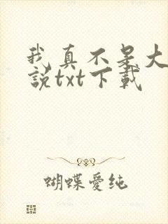 我真不是大佬小说txt下载