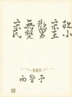 宋无欢宋政扬宋氏双男主小说推荐