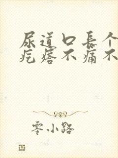 尿道口长个小肉疙瘩不痛不痒