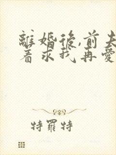 离婚后,前夫哭着求我再爱他一次