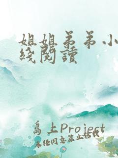 姐姐弟弟小说在线阅读