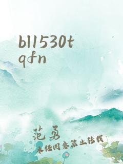 bl1530tqfn