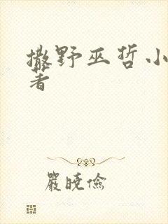 撒野巫哲小说原著