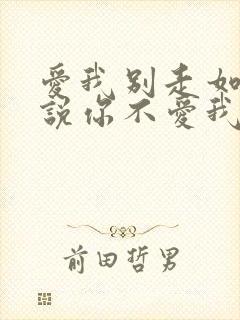 爱我别走如果你说你不爱我歌词