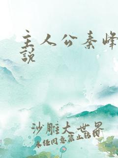 主人公秦峰的小说