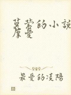 莫萦的小说先婚厚爱