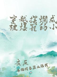 穿越摆烂成军嫂被爆宠的小说