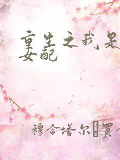 重生之我是恶毒女配