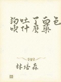 狗吐了白色粘液吃什么药