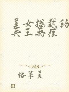 美女总裁的贴身兵王无痕