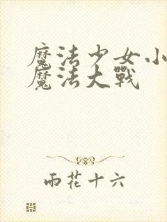 魔法少女小圆超魔法大战