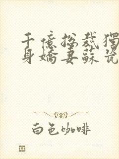 千亿总裁独宠替身娇妻苏瓷傅南城