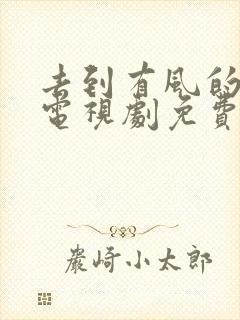 去到有风的地方电视剧免费观看